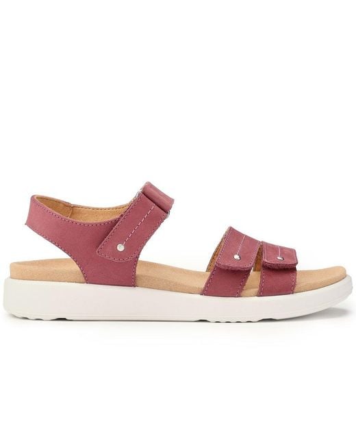 Hotter Pink Venice Sandals