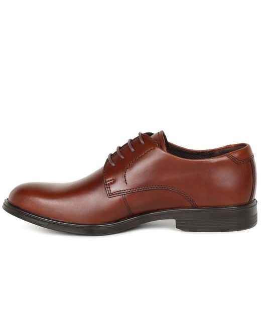 Ecco Brown Melbourne Formal Lace Up Shoes for men