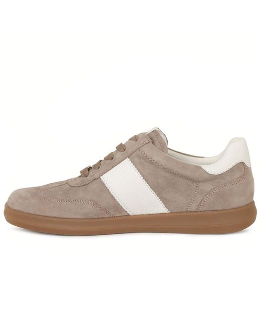 Caprice Gray Map Trainers