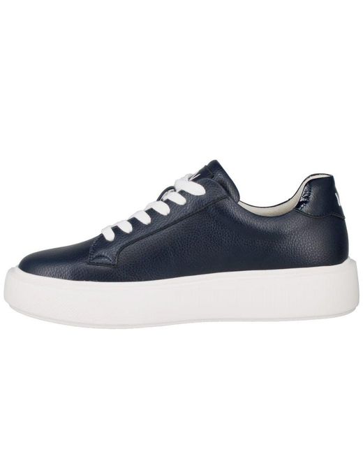 Westland Blue Kate 03 Trainers