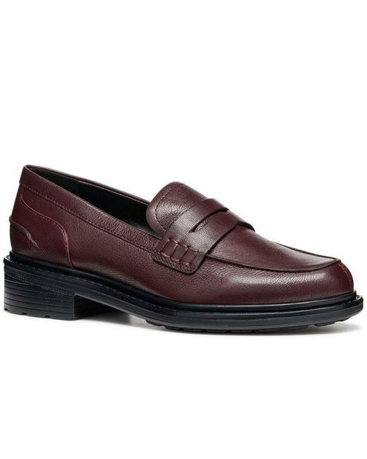 Geox Brown D Walk Pleasure F Moccasins