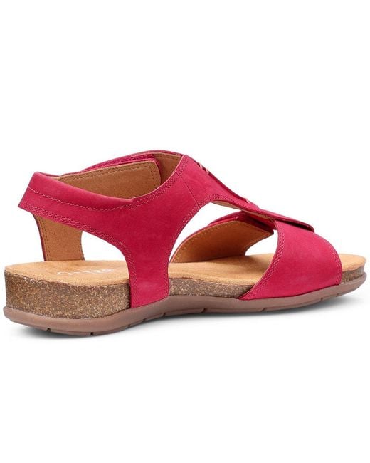 Hotter Pink Rysy Sandals