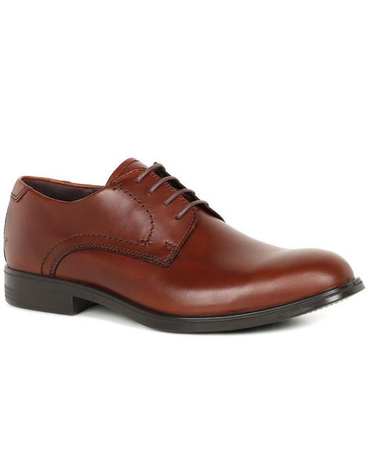 Ecco Brown Melbourne Formal Lace Up Shoes for men