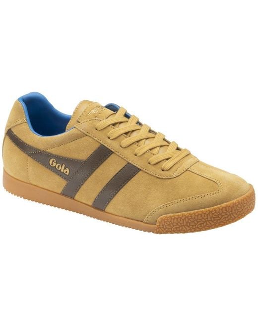 Gola Brown Harrier Trainers for men