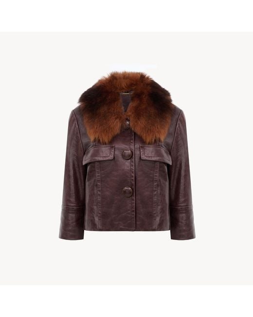 Chloé Brown Cropped Jacket