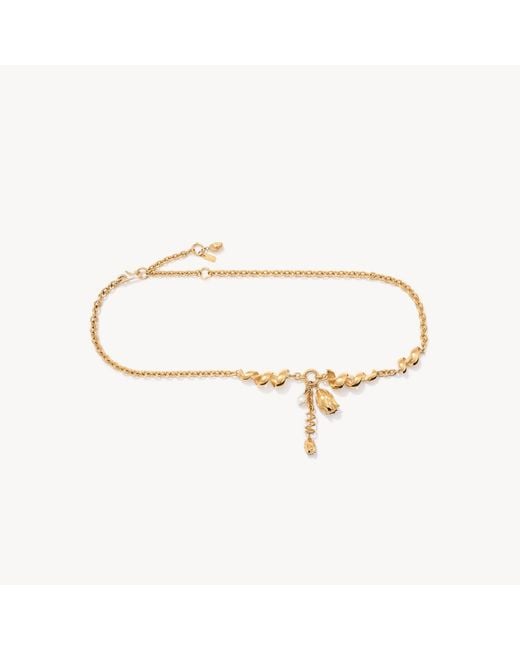 Chloé Metallic The Tulip Jewelry Belt