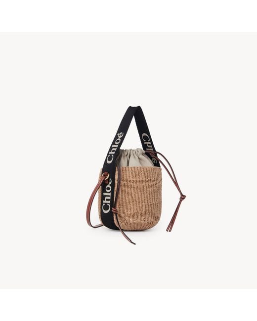 Chloé Multicolor Small Woody Basket
