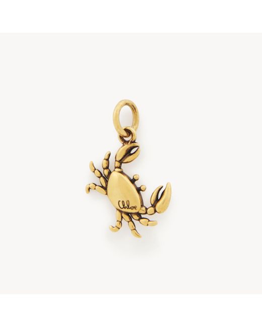 Charm Alphabet Crab di Chloé in Metallic