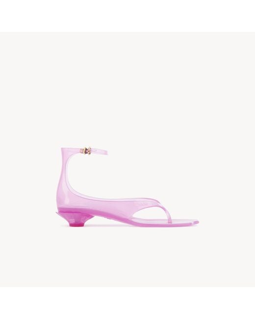 Chloé Pink Jelly Sandal