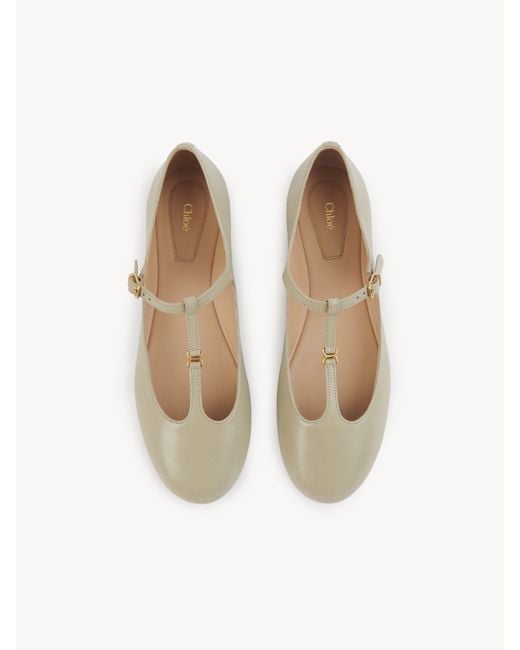 Chloé Marcieバレエパンプス 婦人向け グリーン サイズ 羊革 100 White