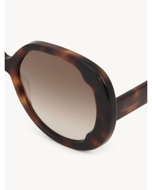 Chloé Natural Lilli Sunglasses