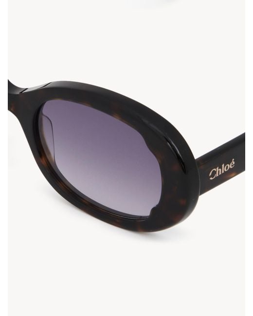 Chloé Multicolor Lilli Sunglasses