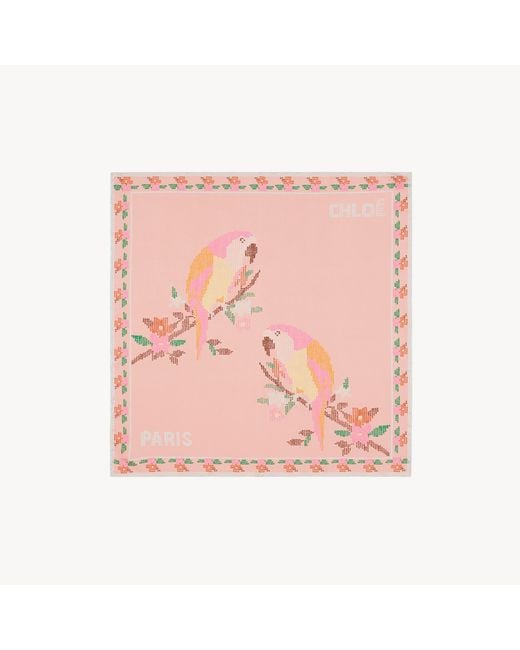 Chloé Pink The Parrot Square Scarf