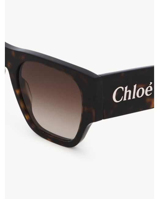 Chloé Multicolor Naomy Sunglasses
