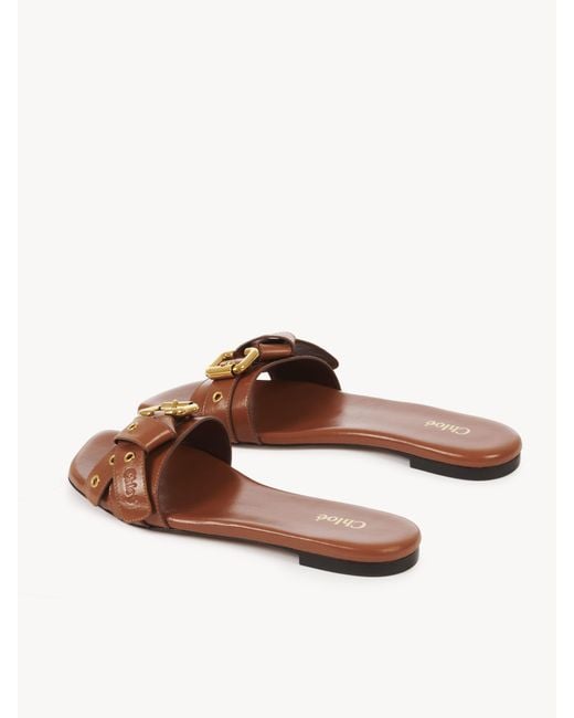 Chloé Brown Mae Slide