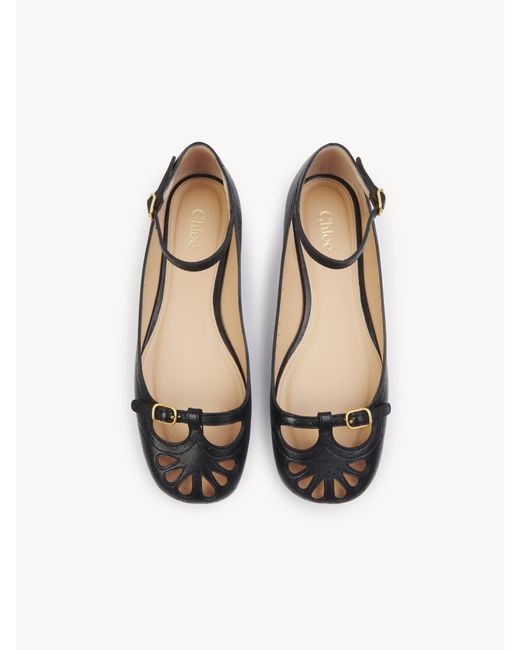 Chloé Blue Misty Ballerina 100% Lambskin