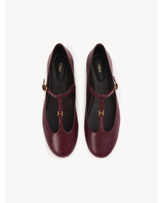 Chloé Marcieバレエパンプス 婦人向け レッド サイズ 羊革（シープスキン） 100 Purple