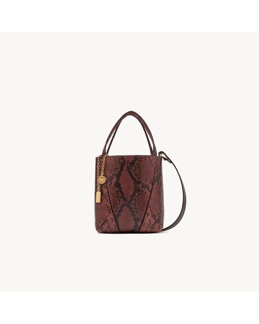 Chloé Brown Small Spin Tote Bag