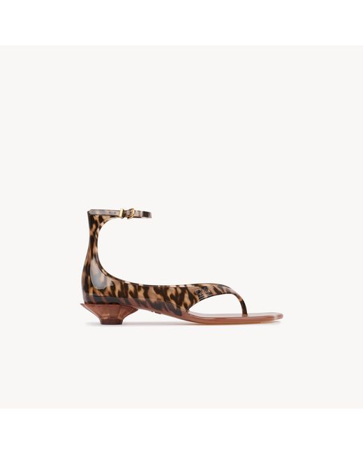 Chloé Multicolor Jelly Sandal