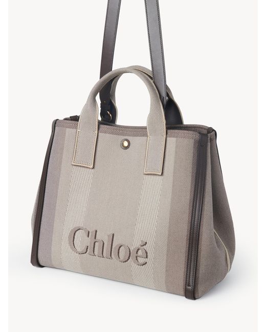 Chloé Gray Chloé Carry Tote Bag aus Canvas