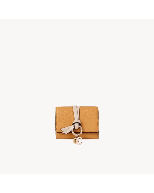Chloé Metallic Mini Alphabet Tri-Fold