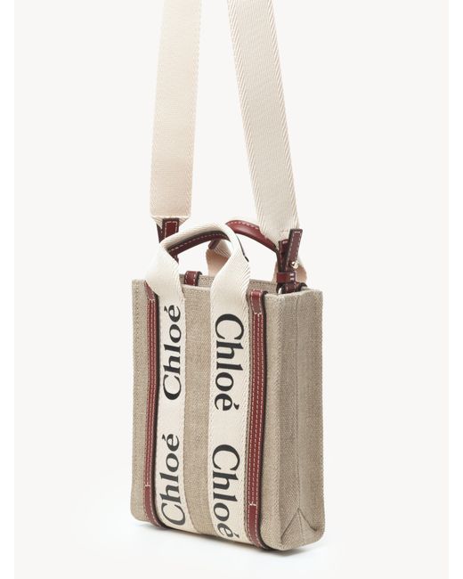 Chloé Multicolor Mini Woody North South Tote Bag In Linen