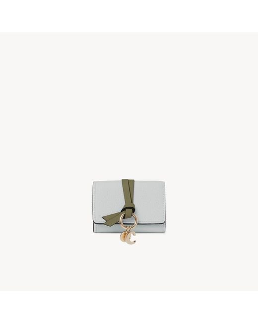 Chloé Multicolor Mini Alphabet Tri-Fold