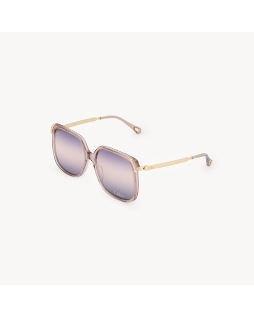 Occhiali Da Sole Aly Transparent Taglia 100% Acetato di Chloé in Pink
