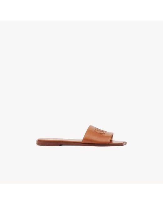 Chloé Brown Soleil Slide