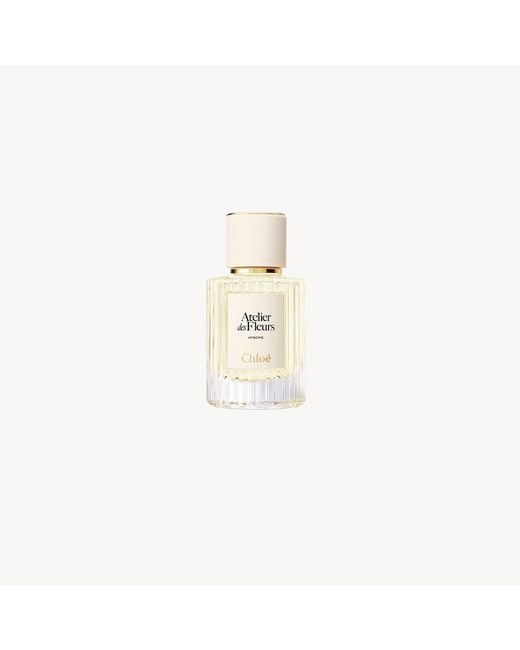 Chloé White Atelier Des Fleurs Jasminum Sambac