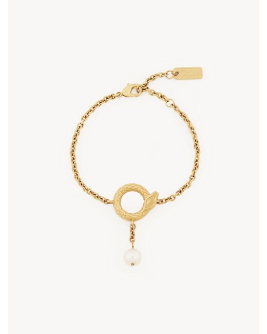 Pulsera Snake Oro 100% Latón Chloé de color Metallic