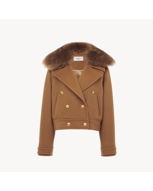 Cappotto Doppiopetto Boxy Corto di Chloé in Brown