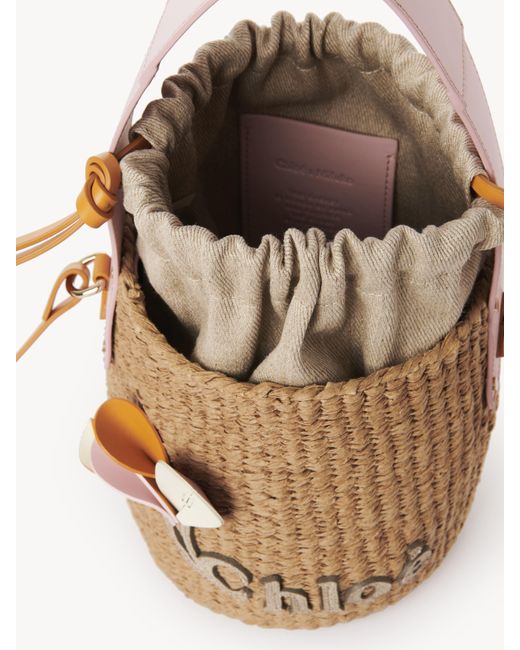 Chloé Brown Small Woody Basket In Fair-trade Paper