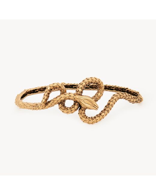 Chloé Metallic The Snake Belt