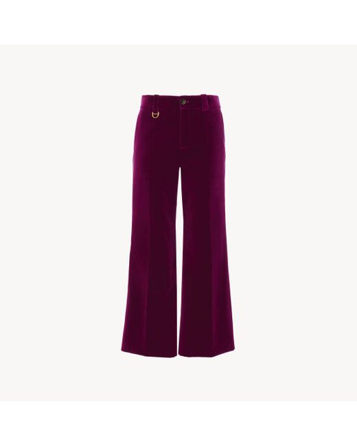 Chloé Purple Verkürzte Bootcut-Hose aus Samt