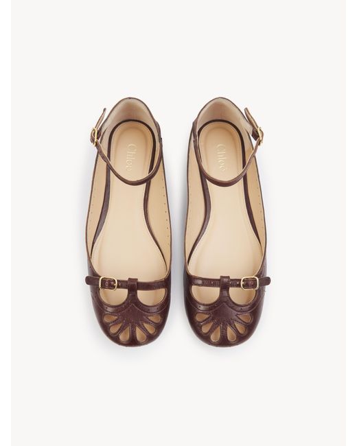 Chloé Brown Misty Ballerina 100% Lambskin