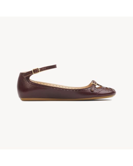 Chloé Brown Misty Ballerina 100% Lambskin
