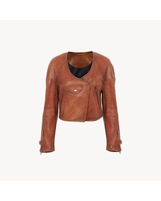 Chloé Brown Cropped Scoop-Neck Jacket