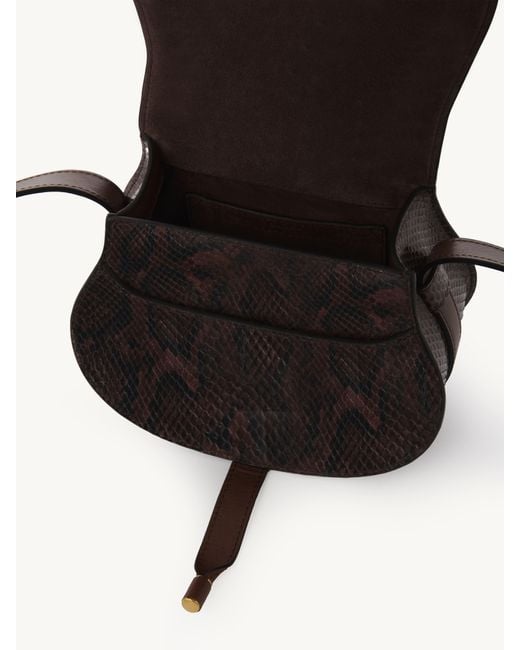 Chloé Black Small Marcie Saddle Bag In Python-effect Leather