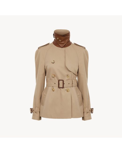 Chloé コットンギャバジン製ショートトレンチコート 婦人向け ブラウン サイズ コットン 100% Horn Bubalus Bubalis, Farmed, Coo India Natural
