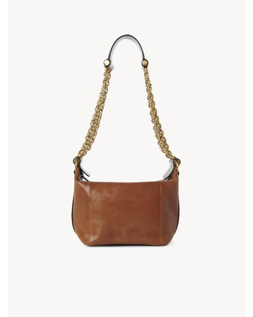 Camera Bag Con Catena di Chloé in Brown