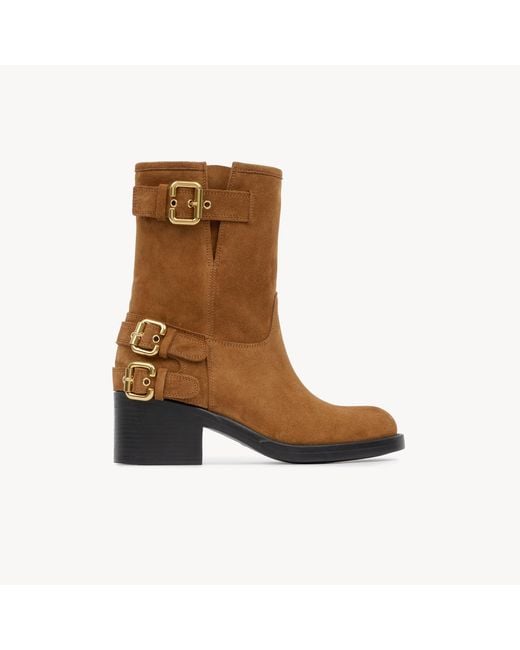 Chloé Brown Dakota Ankle Boot