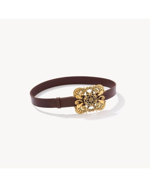Chloé Brown The Wild Medallion Belt