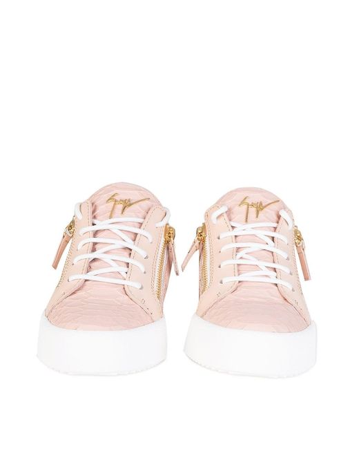 Giuseppe Zanotti Guiseppe Zanotti Mock Croc Pink Sneakers