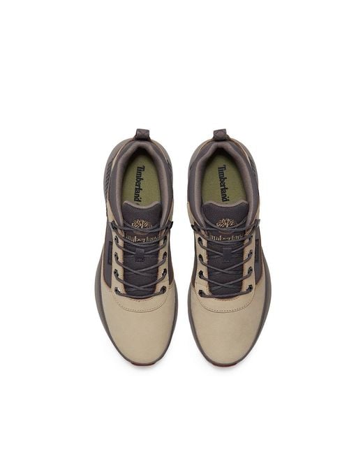Timberland Brown Field Trekker Trainer for men
