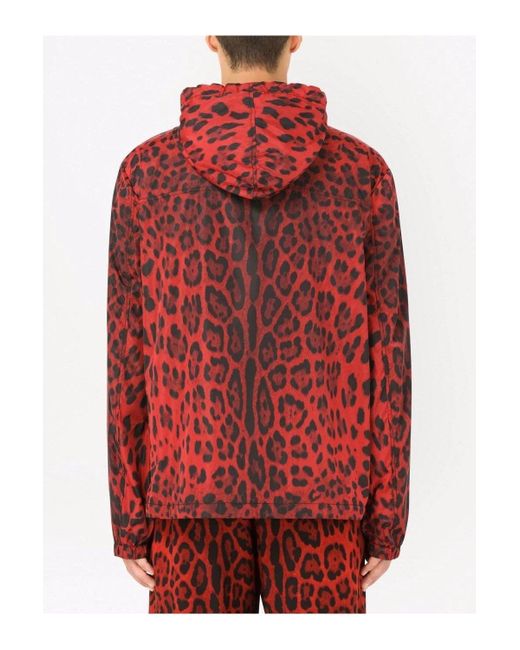 Dolce & Gabbana Red Leopard Hoodie for men