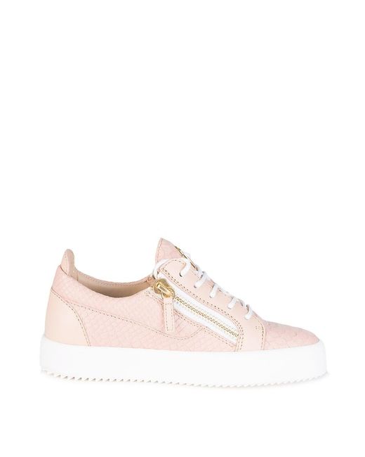 Giuseppe Zanotti Guiseppe Zanotti Mock Croc Pink Sneakers