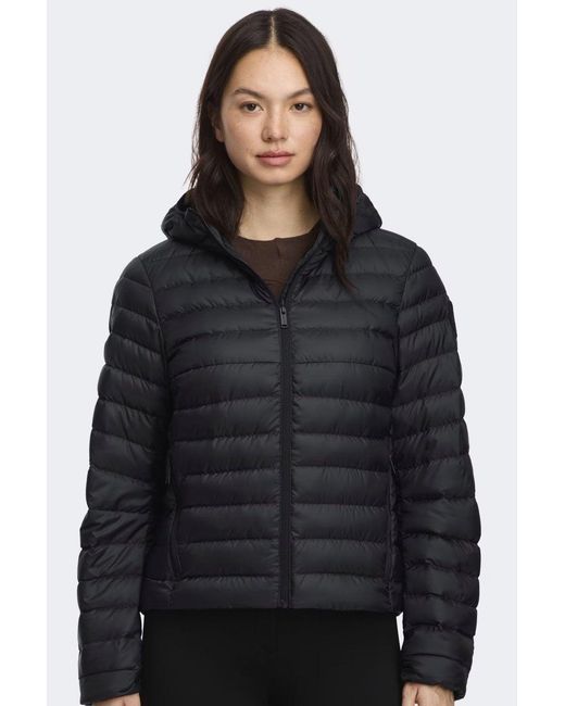 Canada Goose Black Coats Polyamide