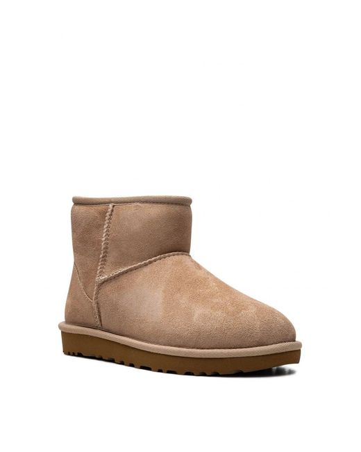 Ugg Brown W Classic Mini Ii