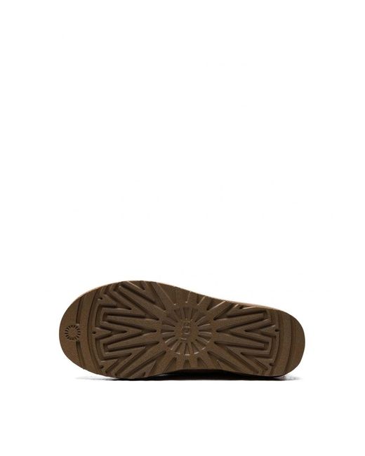 Ugg Brown W Classic Mini Ii